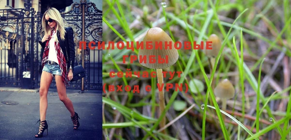 бутират Слюдянка